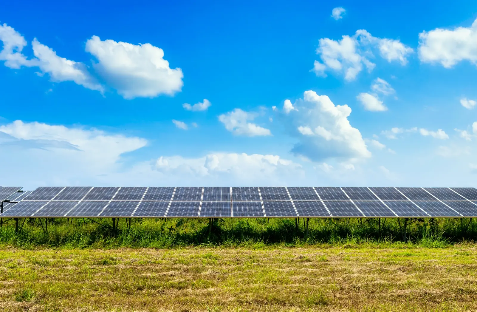 Large-Scale Solar Finance and Project Assessment | P&P Solar Photovoltaic installation representing large-scale solar finance and project assessment